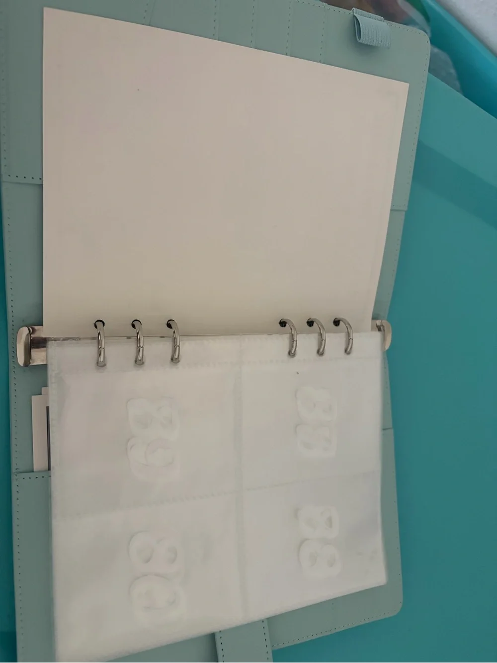 100 Envelope Savings Challenge Binder for Saving $$$